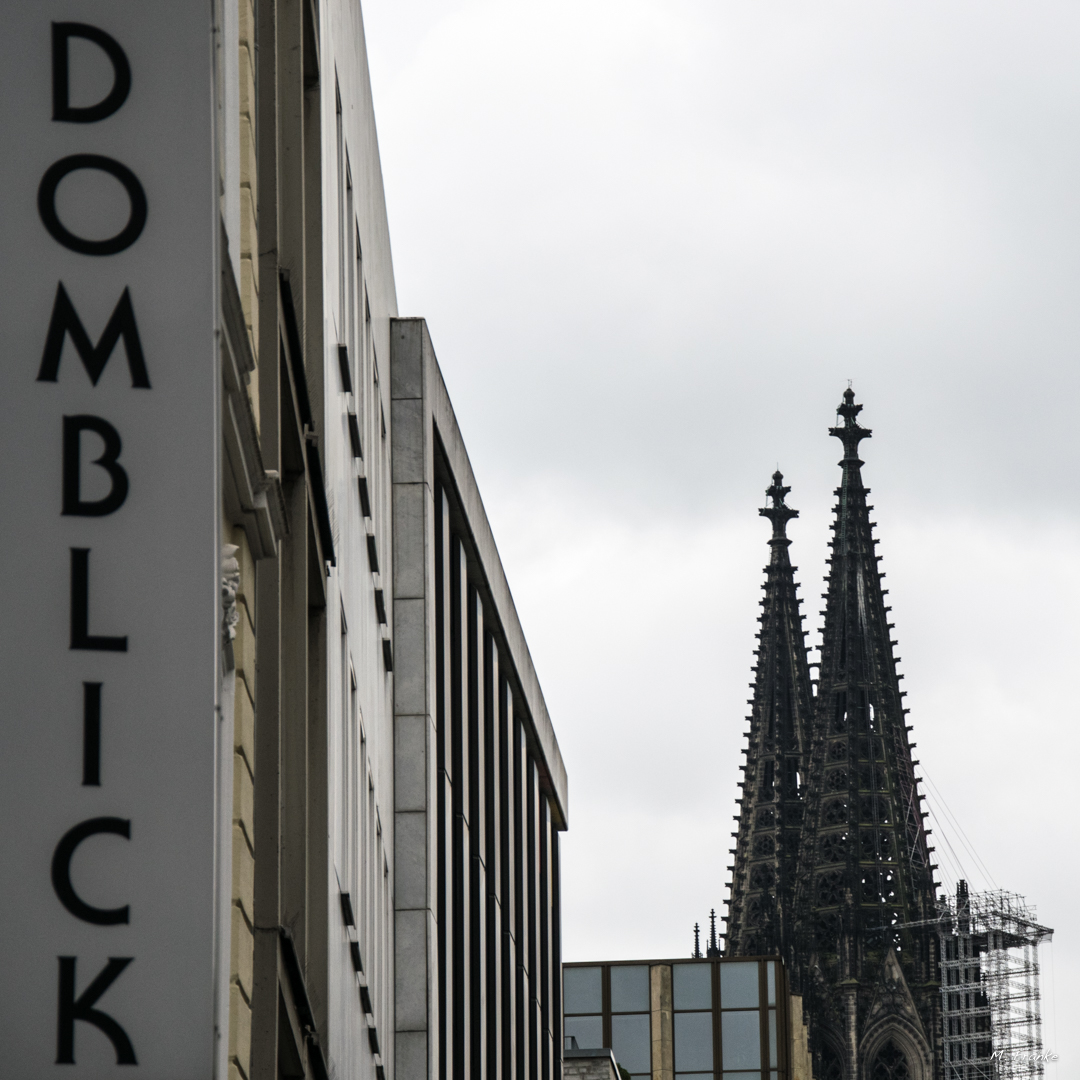 Domblick